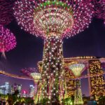 May I Eat This? Ideas to Stay Healthy On The Journey our world